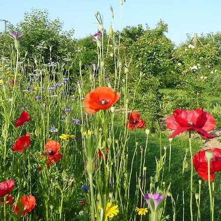 Manoir De La Pigeonnerie